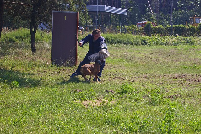 Slovenský boxer klub 