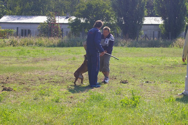 Slovenský boxer klub 