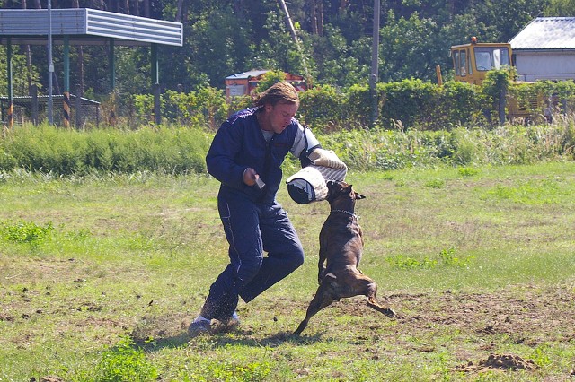 Slovenský boxer klub 