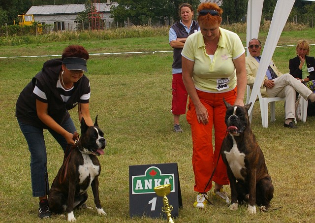 Slovenský boxer klub 