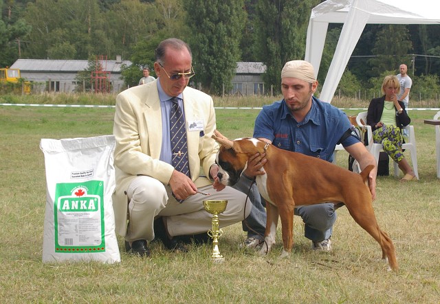 Slovenský boxer klub 