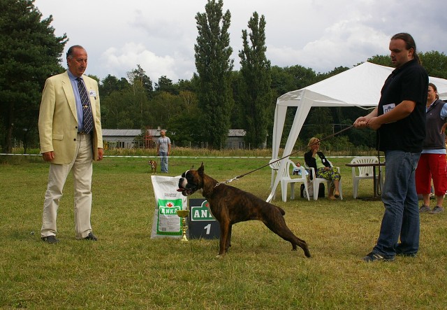 Slovenský boxer klub 