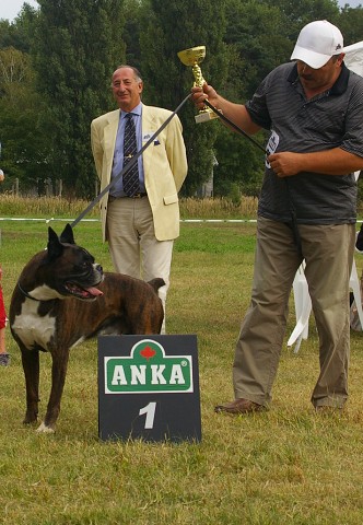 Slovenský boxer klub 
