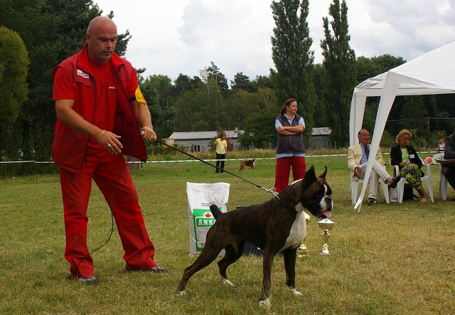Slovenský boxer klub 