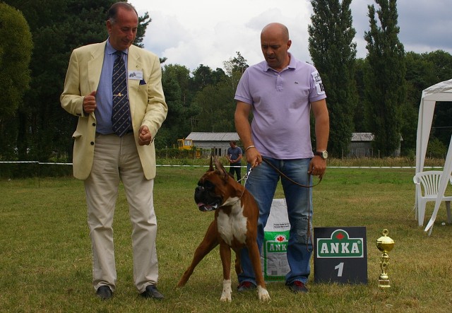 Slovenský boxer klub 