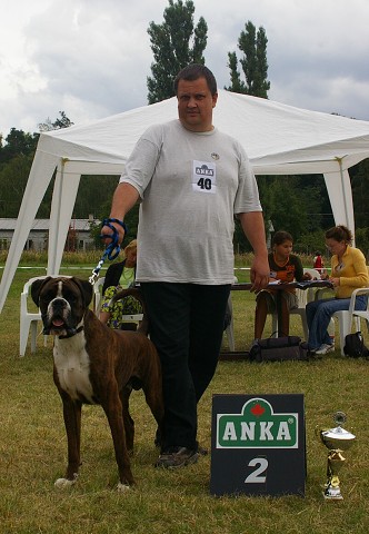 Slovenský boxer klub 