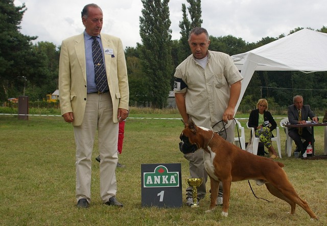 Slovenský boxer klub 