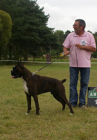 Slovenský boxer klub 