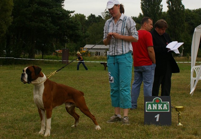 Slovenský boxer klub 