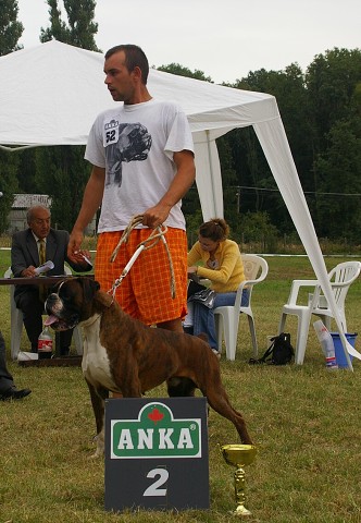 Slovenský boxer klub 