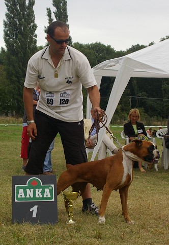 Slovenský boxer klub 