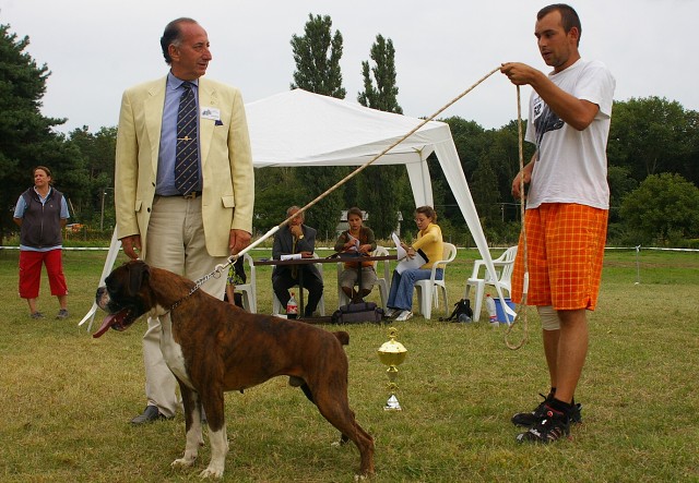 Slovenský boxer klub 