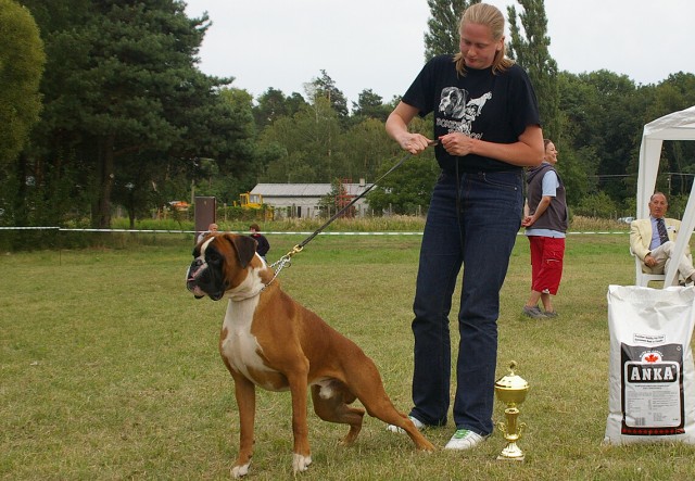 Slovenský boxer klub 