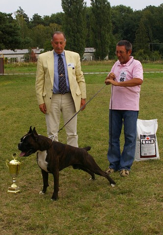 Slovenský boxer klub 