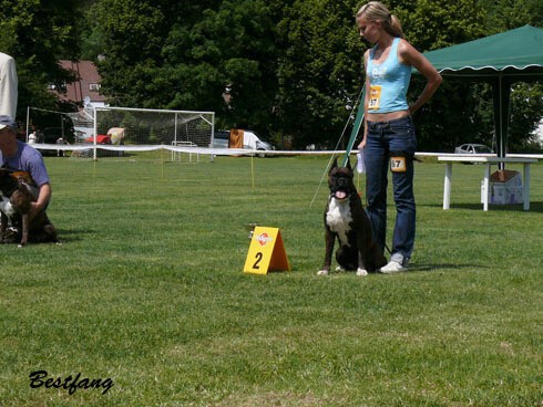 www.boxerklub.sk