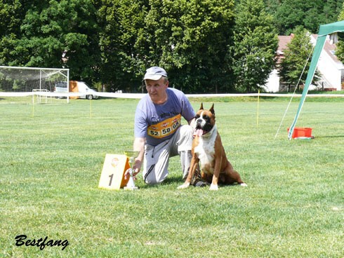 www.boxerklub.sk