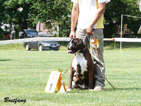 www.boxerklub.sk
