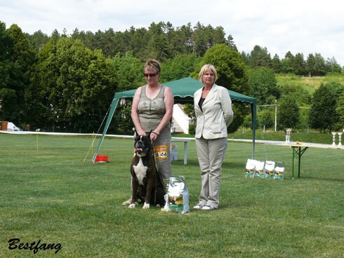 www.boxerklub.sk