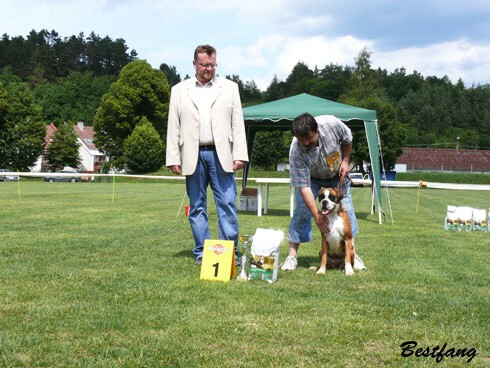 www.boxerklub.sk