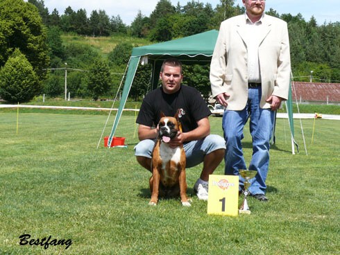 www.boxerklub.sk