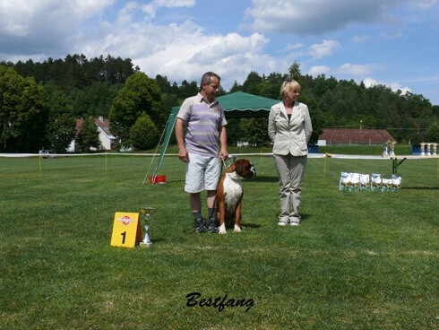 www.boxerklub.sk