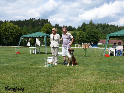 www.boxerklub.sk