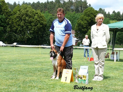 www.boxerklub.sk