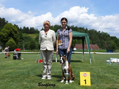 www.boxerklub.sk