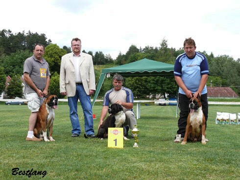 www.boxerklub.sk