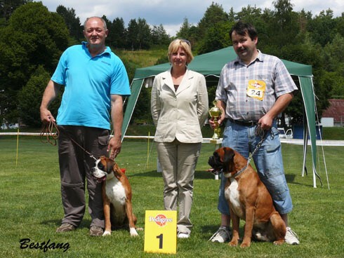 www.boxerklub.sk