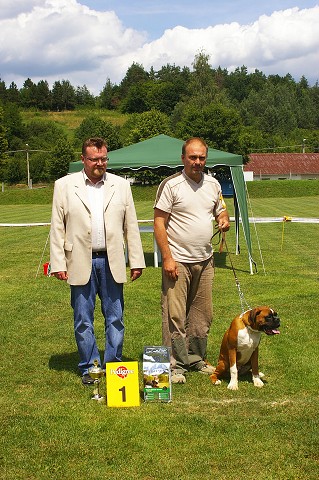 Slovenský boxer klub - www.boxerklub.sk