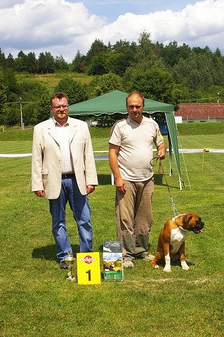 Slovenský boxer klub - www.boxerklub.sk