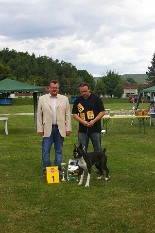 Slovenský boxer klub - www.boxerklub.sk
