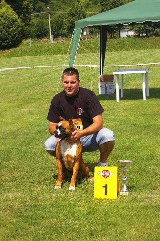 Slovenský boxer klub - www.boxerklub.sk