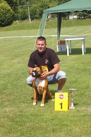 Slovenský boxer klub - www.boxerklub.sk
