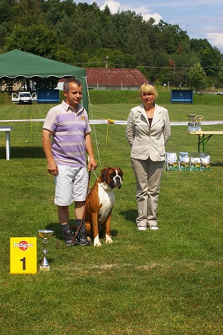 Slovenský boxer klub - www.boxerklub.sk