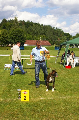 Slovenský boxer klub - www.boxerklub.sk