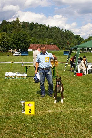 Slovenský boxer klub - www.boxerklub.sk