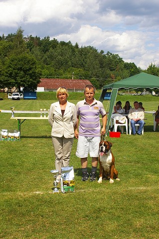 Slovenský boxer klub - www.boxerklub.sk