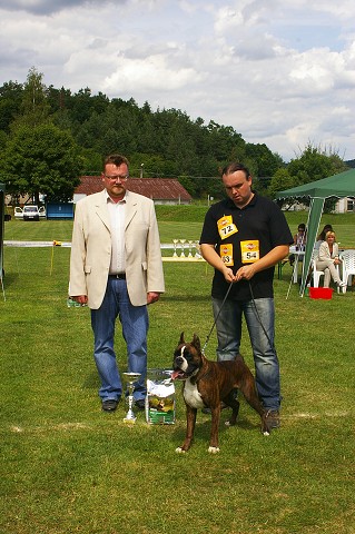 Slovenský boxer klub - www.boxerklub.sk