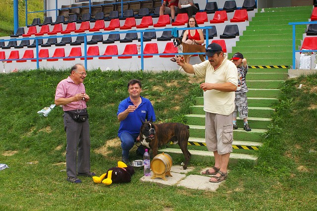 Slovenský boxer klub - www.boxerklub.sk