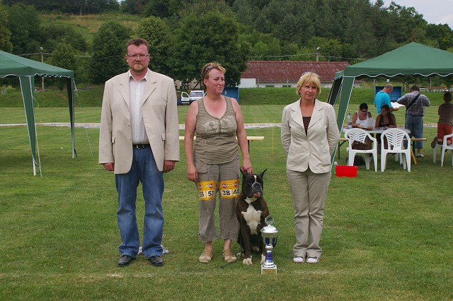 Slovenský boxer klub - www.boxerklub.sk