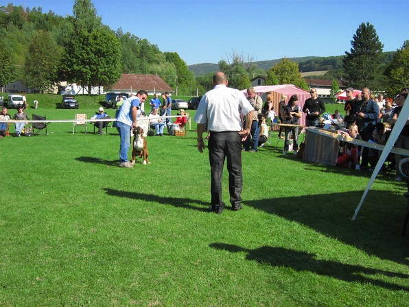 www.boxer-show.eu