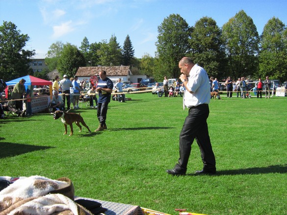 www.boxer-show.eu