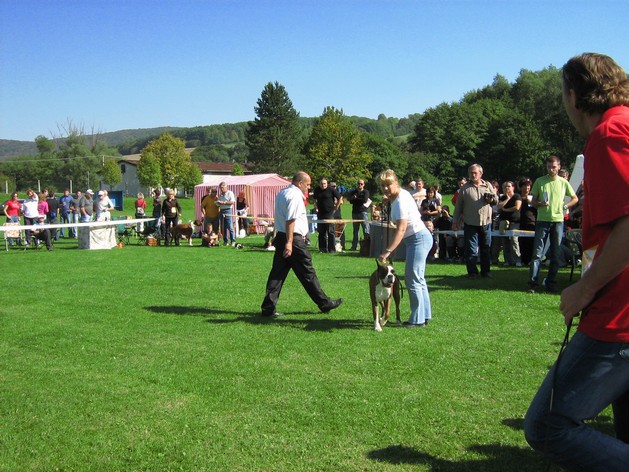 www.boxer-show.eu