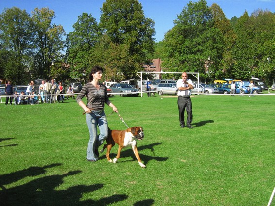 www.boxer-show.eu