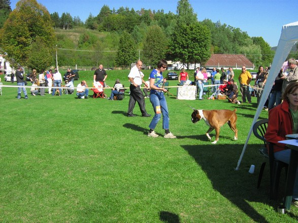 www.boxer-show.eu