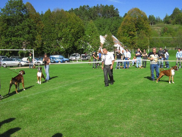 www.boxer-show.eu