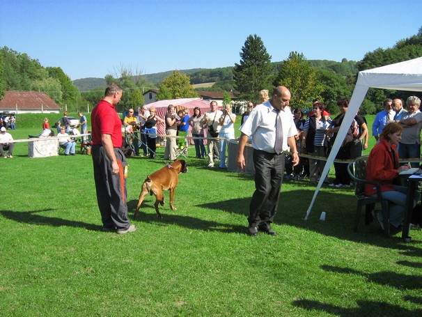 www.boxer-show.eu