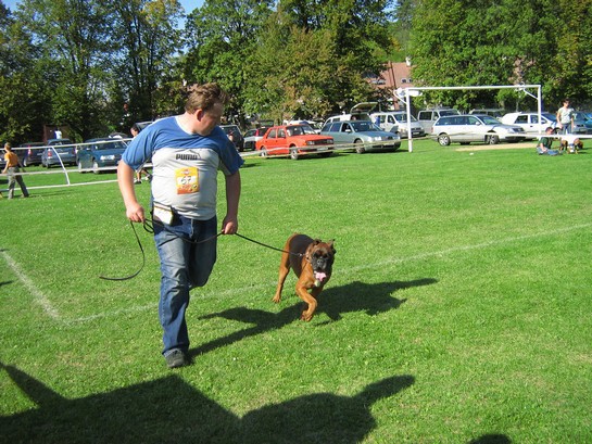 www.boxer-show.eu
